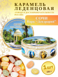 Карамель леденцовая в жестяной банке «Сочи — Дендрарий», 180 г
