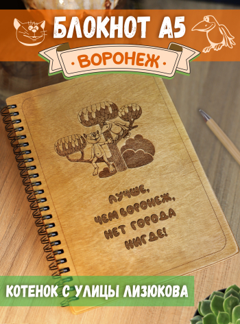 Блокнот А5 недатированный в линейку "Лучше чем воронеж, нет города нигде"