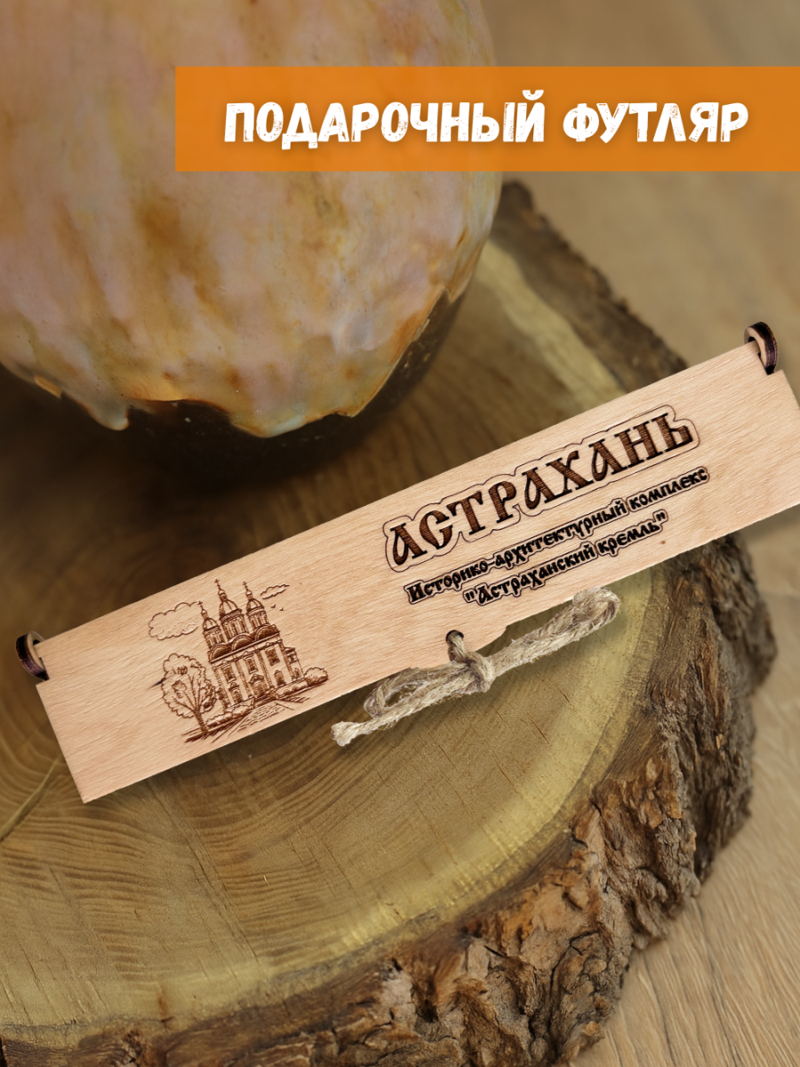 Ручка в футляре "Астрахань" — изображение 4