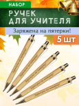 Ручки "Заряжена на пятерки!" 5 шт