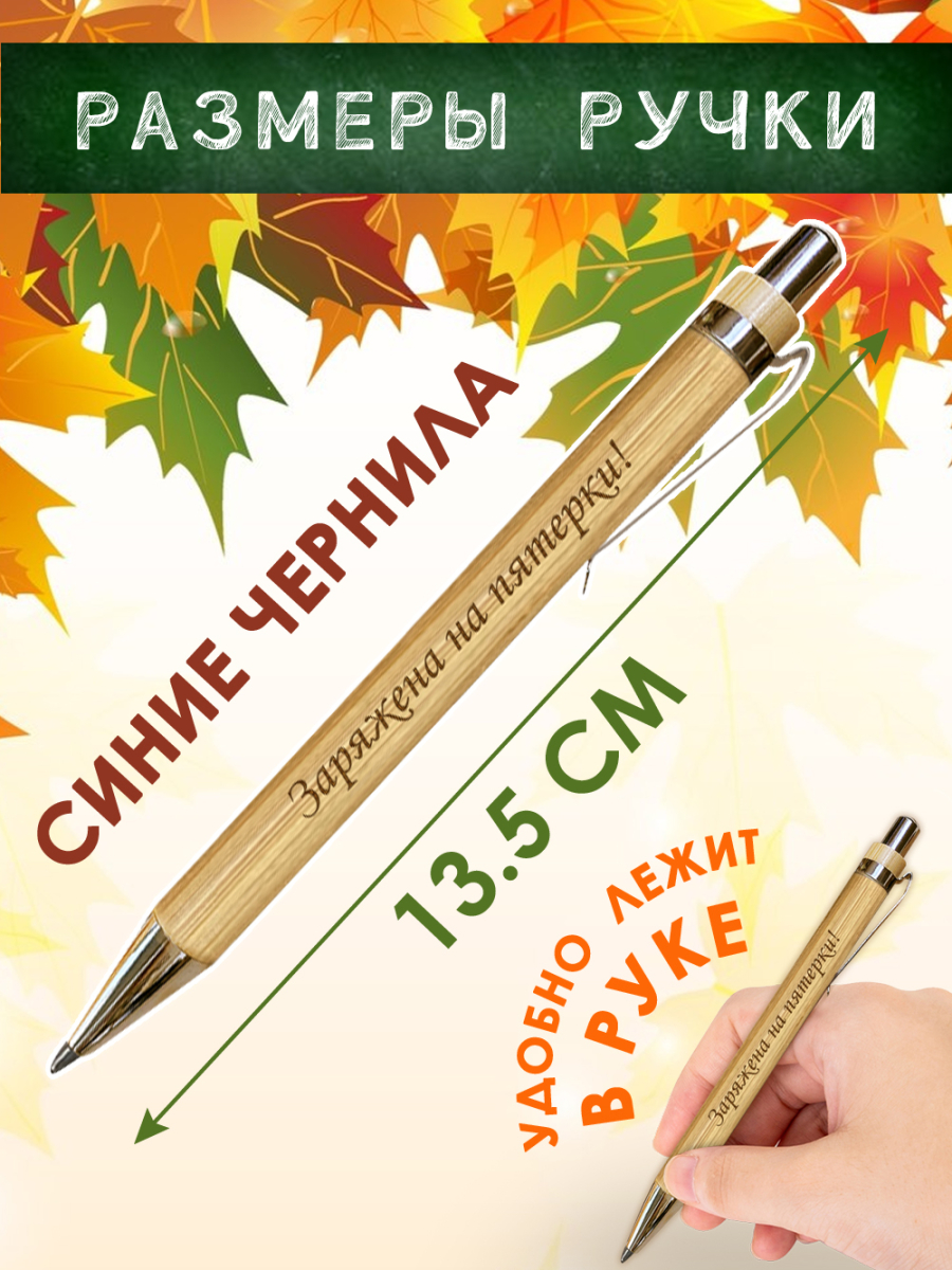 Ручки "Заряжена на пятерки!" 5 шт — изображение 2